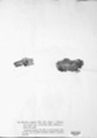 Crystallicutis serpens image